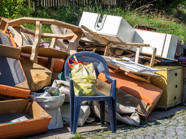 Best Electronics Removal Services  in Janesville, MN